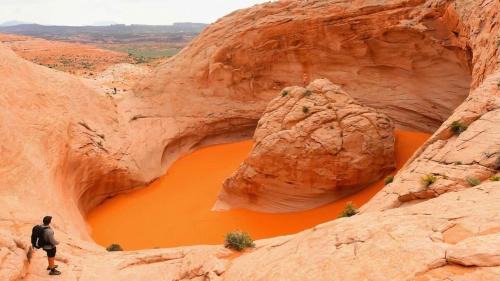 Escalante House | Escalante Escapes Star Lily- Bunk Escape