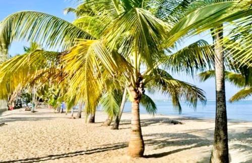 Covenas Apartment | Escapada Perfecta en Apartasuites Privadas Coveñas