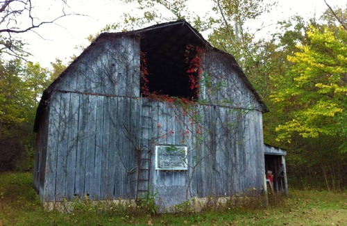 Latham Cabin | Escape from reality at Dry Creek Cabin!