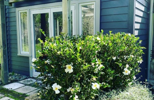 Otane House | Escape to a secluded slice of riverside paradise in central Hawkes Bay, NZn