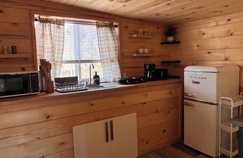 Denali Cabin | Escape to our Cozy Rustic Log Cabin with Lake View