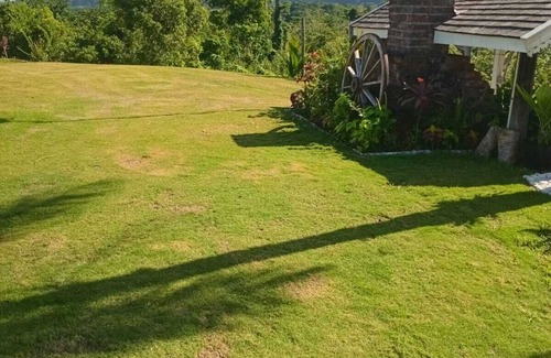 Little Bay House | Escape to Parakeet Hill: Where Luxury Meets Nature’s Tranquility