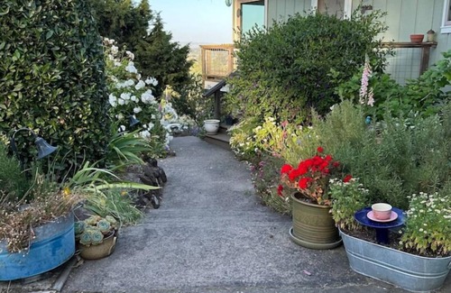 Petaluma Apartment | Escape To Petaluma.