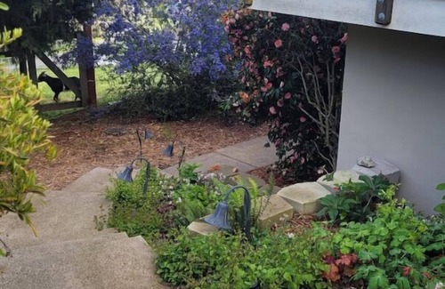 Petaluma Apartment | Escape To Petaluma.