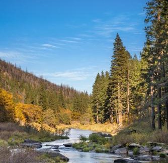 Greenville House | Escape to The Cabin, 1GB Fiber Ultrafast Wifi!
