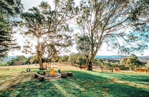 Candelo Apartment | Escape to the country in our Farm Stay Queen Unit at Bumblebrook. Pet Friendly.