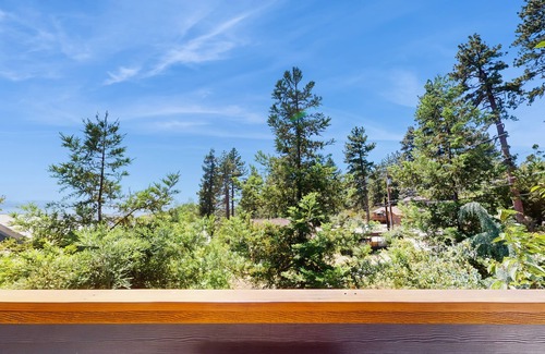 Idyllwild Apartment | Escape to the Ultimate Mountain Retreat in Idyllwild: Stunning Views, Cozy Vibes