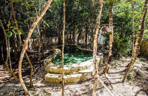 Macario Gomez Bed & Breakfast | Escarabajo Rojo