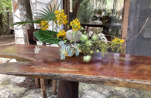 Macario Gomez Bed & Breakfast | Escarabajo Rojo
