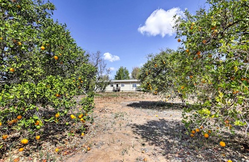 Escondido Cottage | Escondido Vineyard Estate: Walk to Wineries!