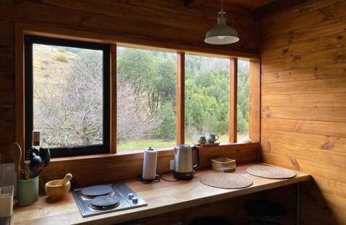 Pucon Apartment | Espíritus del Cañi. Tiny home y destilería