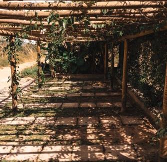 Alto Paraiso de Goias Ski Chalet | Espaço Canela-de-Ema