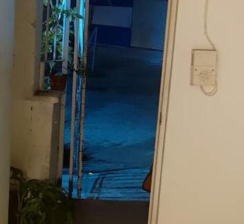 Merida House | Espacio Jardines