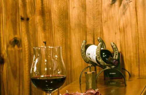 Alumine Hotel | Estancia Quillen Lodge - Hosteria