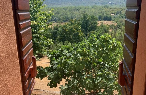 Trn Villa | Estate Ivan