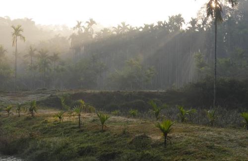 Siddapura House | Estate Stay - Riverside Coffee