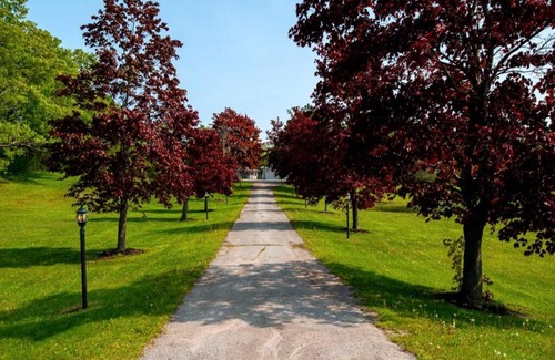 Otonabee-South Monaghan House | Estate ~ Swimming Pool ~ Games ~ Kawartha Lakes