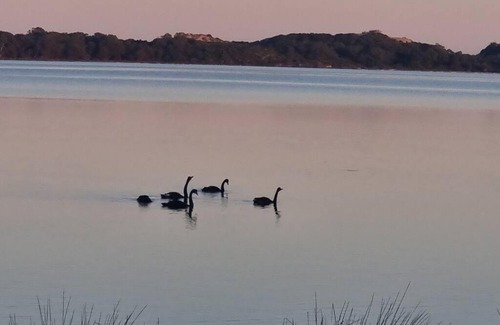 Leschenault House | Estuary water views 4bedroom home with pool