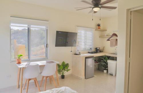 San Jose del Cabo Apartment | Estudio con vista al mar