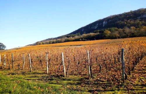 Lavigny Bed & Breakfast | Et la froumi