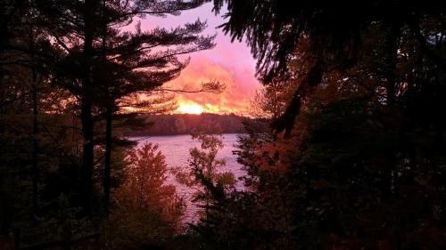 Lake Ann House | Ethel's Cottage