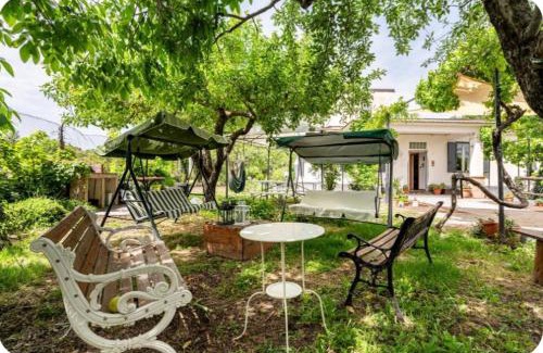 Maletto House | Etna, salvia e rosmarino