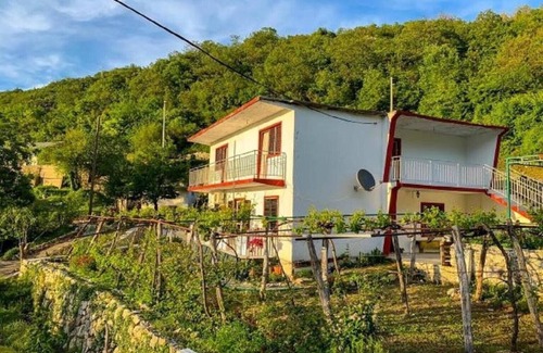 Limljani House | Etno House Mira and winery