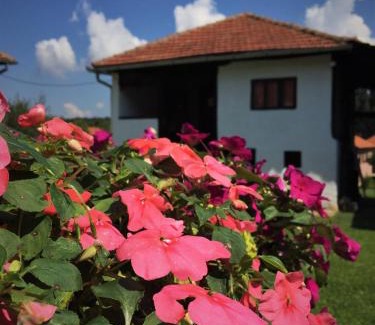 Nisava District House | Etno Kuća - Rakić