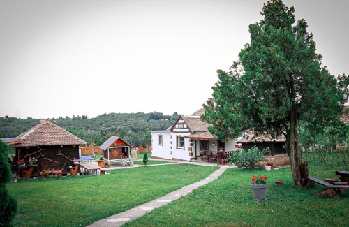 Central Serbia House | Etno san