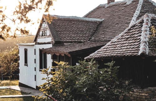 Central Serbia House | Etno san