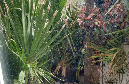 Duivendrecht Apartment | EU identities+travel tickets submit before booking. Check in max 4pm