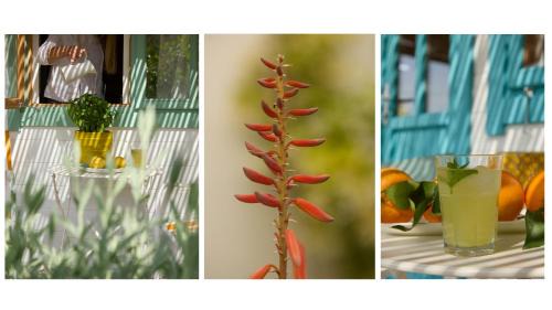 Kandia House | Eudaimonia Wooden Suites Nafplio Kandia