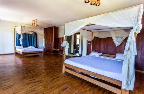 Alaotra Mangoro Hotel | Eulophiella