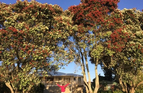 Pukehina Condo | EUNOIA overlooking the Estuary - Pukehina Beach , SPA available