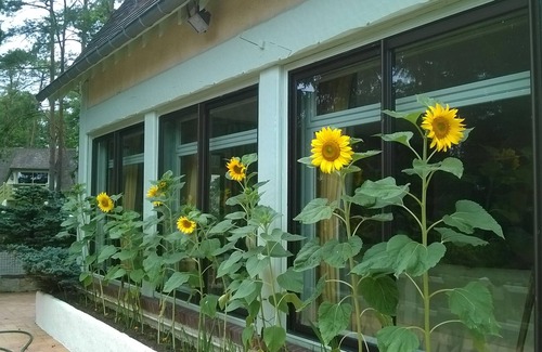 Chambray Villa | EURE 95 KM FROM PARIS 8+3(4 beds 1very confortable sofa bed 1 child bed)