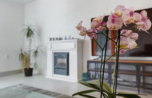 Engen Apartment | eva Ferienwohnung