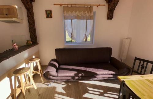 Ciocanesti House | Eva House