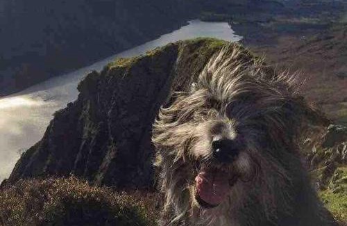 Gosforth House | Evas cottage near Scafell