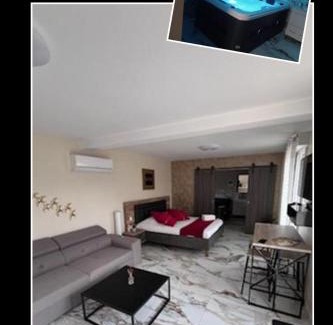 Pruniers-en-Sologne Apartment | Evasion Romantique&Jacuzzi!
