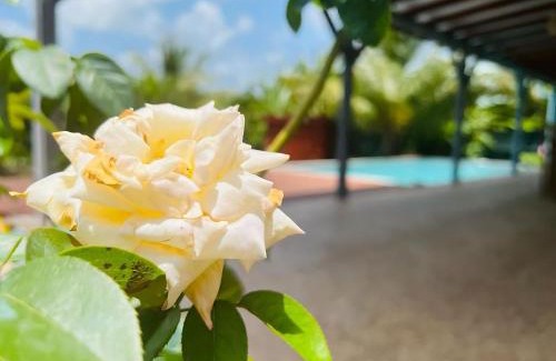Saint-Louis Villa | Evasion tropicale villa cosy avec piscine et bungalow