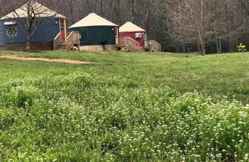 Candler Apartment | Evening Shade - Yurt 4