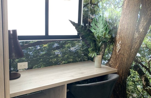 Laureles - Estadio Apartment | Evergreen 203 tropical jungle studio.