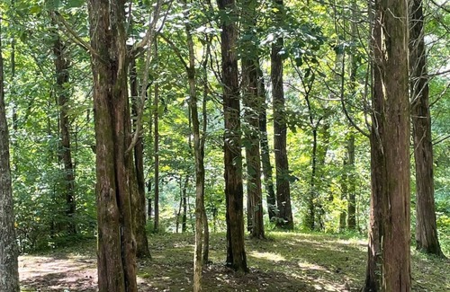 Rome Cabin | Evergreen Cottage, Twin Lakes Country Cabins