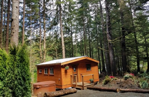 Ucluelet House | Evergreen Forest Cabins