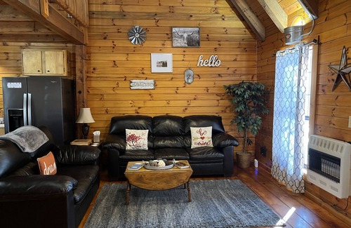 Carbon Hill Cabin | Evergreen Hideaway is a cabin nestled under tall pines.