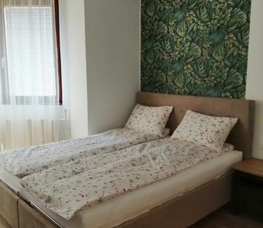 Debrecen Apartment | Evergreen Residence Forest Debrecen