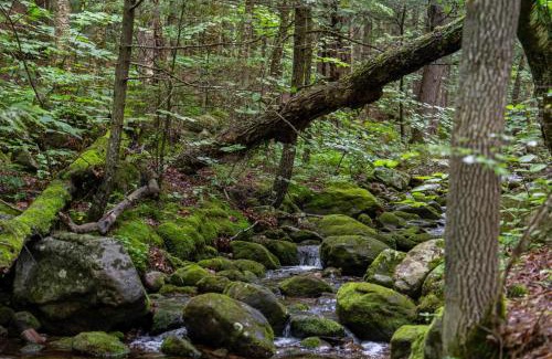Stoneham Hotel | Evergreen Valley Inn