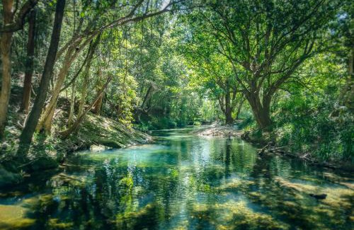 Gleniffer House | Evermoore Castle Bellingen