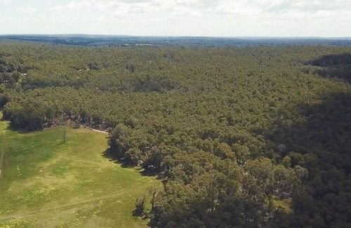 Mount Helena Resort | Eversprings Glamping - Eco retreat - Mirkwood