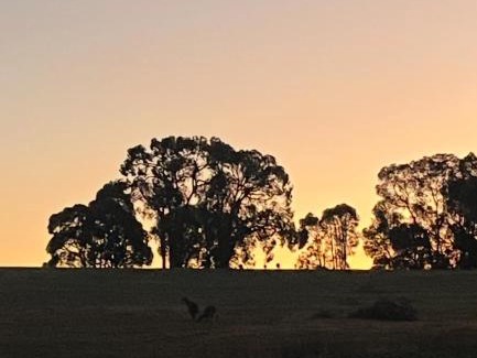 Mount Helena Other | Eversprings Glamping